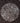 Mandala Cangrejos Black