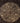 Mandala Cangrejos Beige