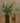Florero Rayas Verticales Vidrio