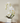 Orquídea