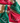 Servilleta Ho Ho Ho