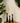 Candelabros Mate - Set x3
